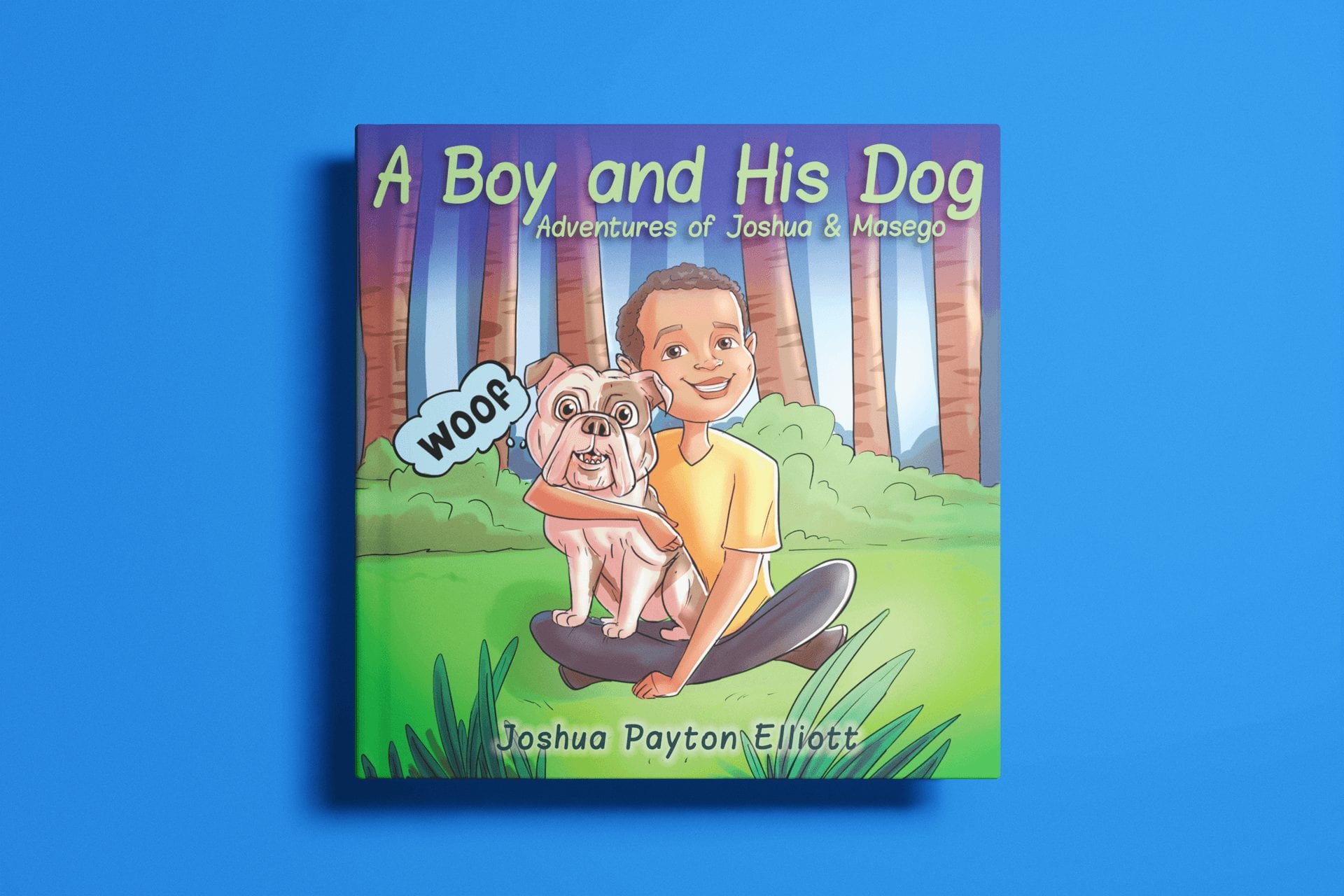A boy and his dog - hardcover-book